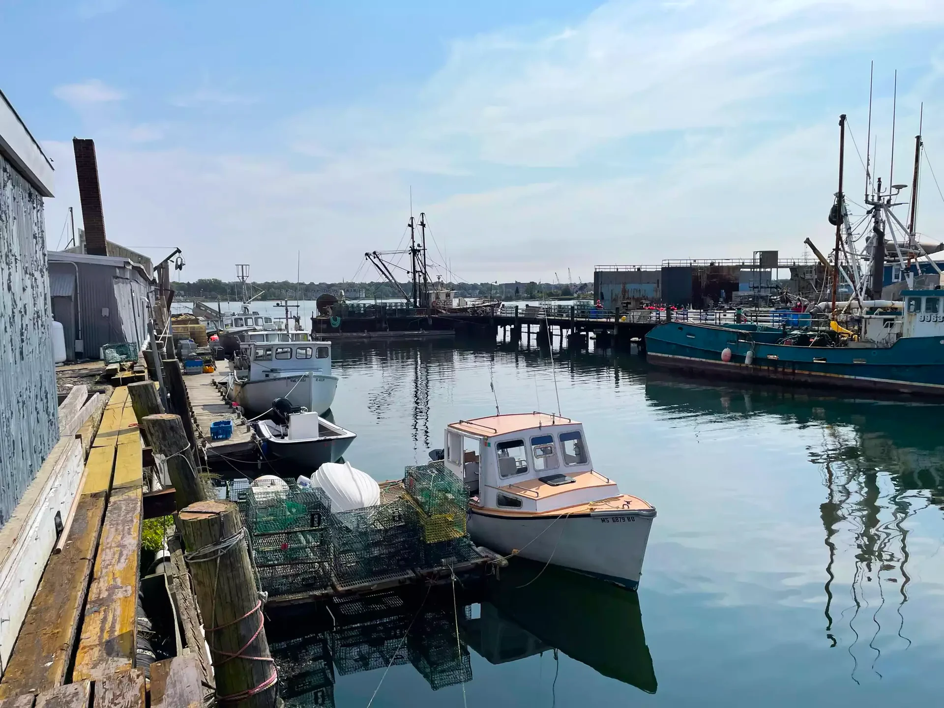 Maine's Finest Fresh Seafood Delivered